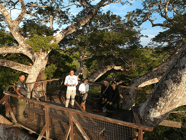 Tambopata Canopy Walkways Actividad 4