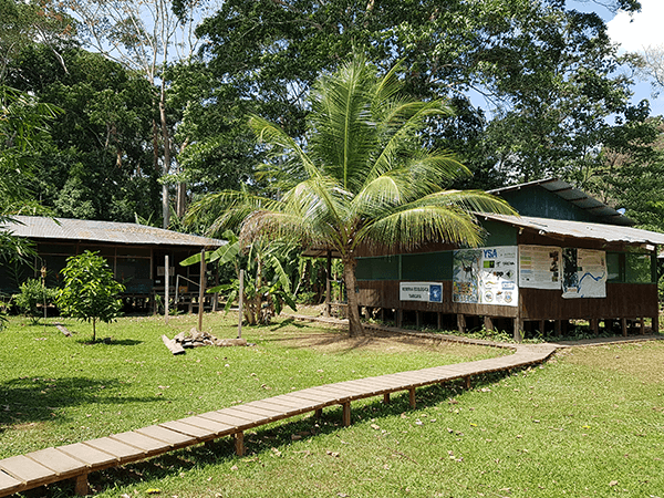 TambopataTaricaya Tour