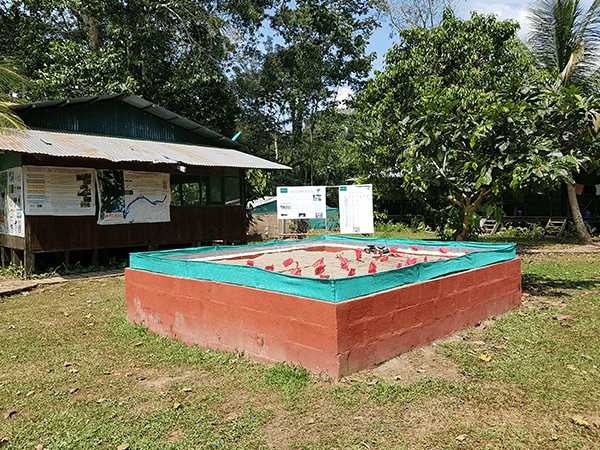 TambopataTaricaya Tour 3