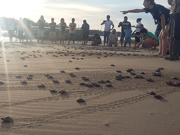 TambopataTaricaya Tour 4