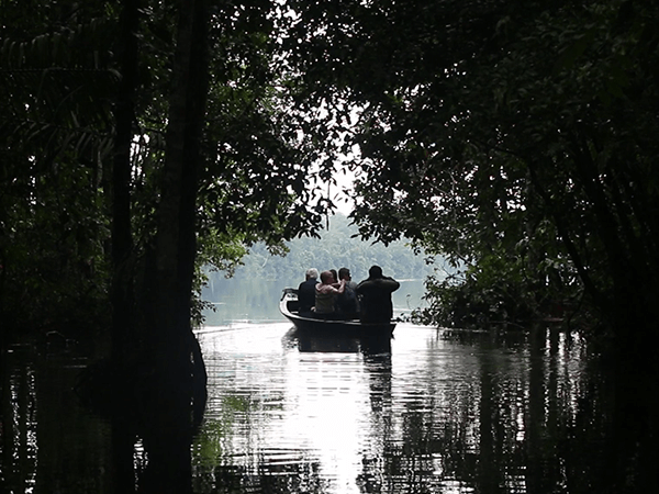 Tambopata Lago Sandoval Tour