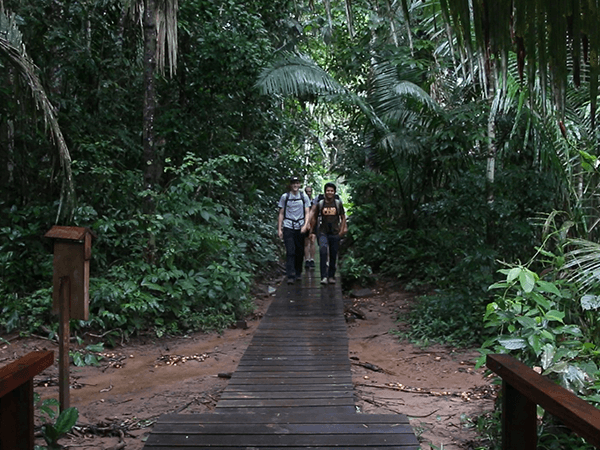 Tambopata Lago Sandoval Tour 4