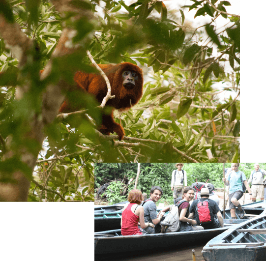 Tambopata Lake Sandoval Tour