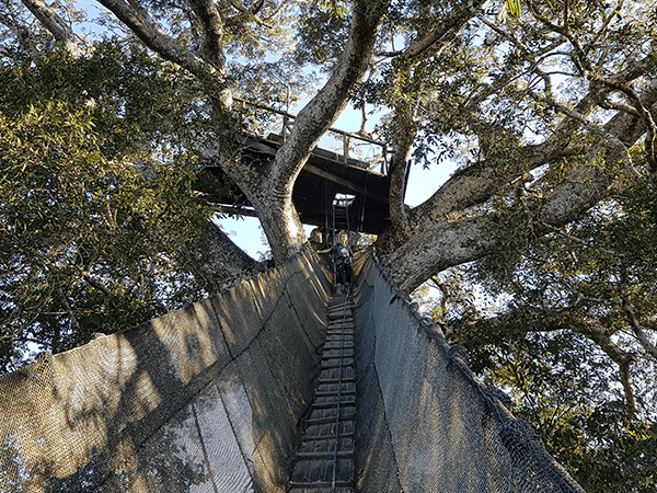 Tambopata Lake Sandoval Touristic Program 2