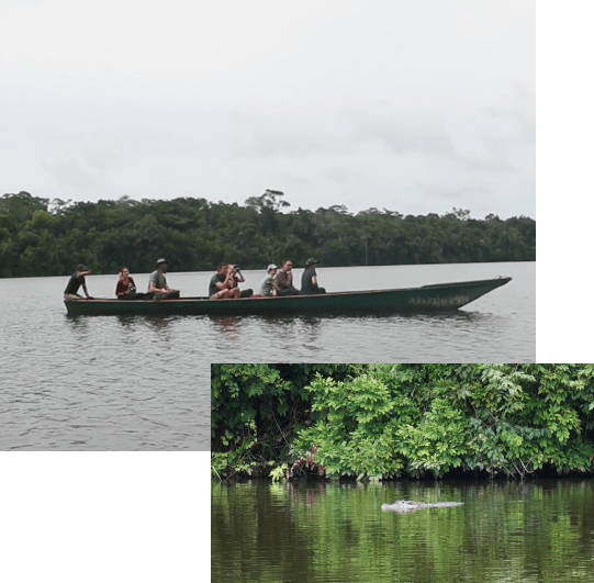 Tambopata River Tour