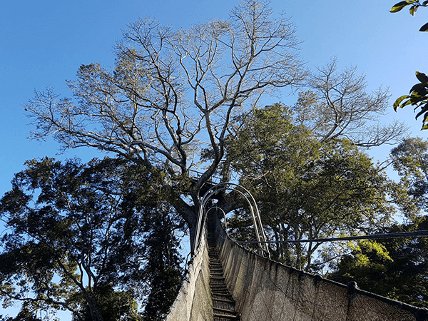 Tambopata Touristic Program 1