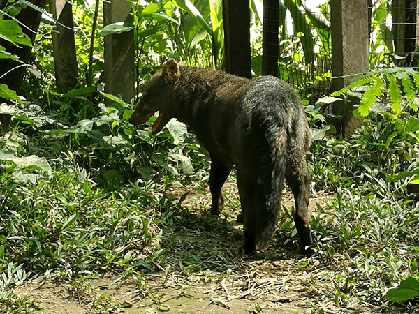 Tambopata Touristic Program 3