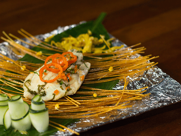 Tambopata Touristic Program 4