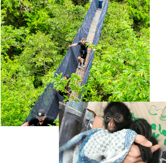 Tambopata Taricaya Tour