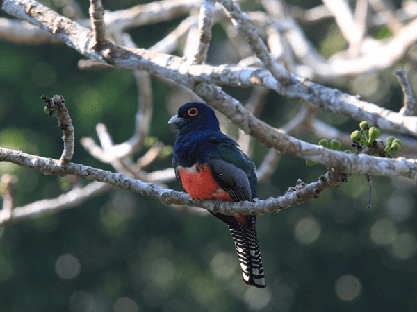 Tambopata Touristic Program 2