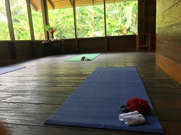 Tambopata Touristic Program 1