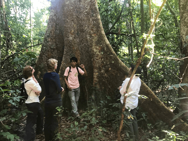 Tambopata Touristic Program 5